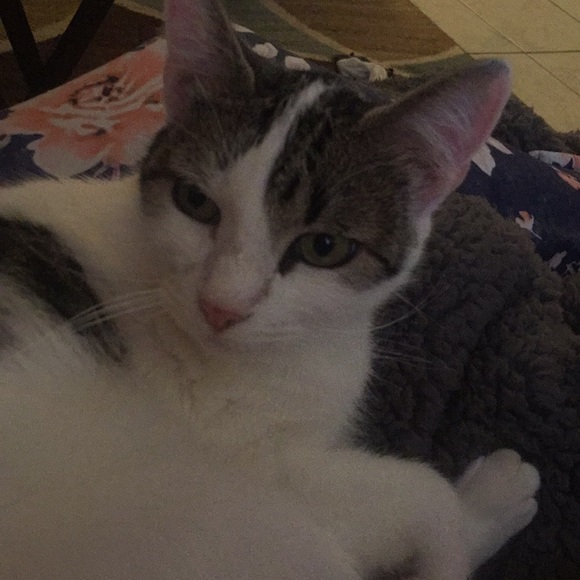 Meet your Posher, Kimberly - Picture 1 of 1